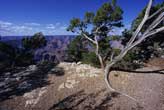 Grand Canyon F3.5, photography art (hub) is affiliated with topgallerylink.com the future link to top art galleries.