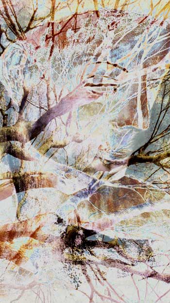 Video art print whose destiny is the top art galleries in New York City, Hong Kong, London, Paris and Rome.