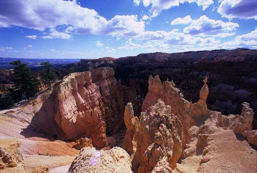 Bryce Canyon SF1.24 Photography art / top art galleries, London, New York City, Hong Kong, Paris, Rome - Link
