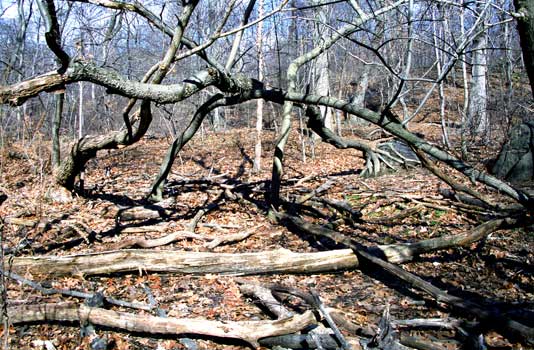 NYC F67-5, Photography art / New York City, Art Galleries, London, Hong Kong, Paris, Rome, Athens, Geneva - Link