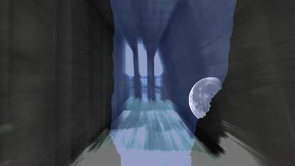 Video art / top art galleries, London, New York City, Hong Kong, Paris, Rome.  