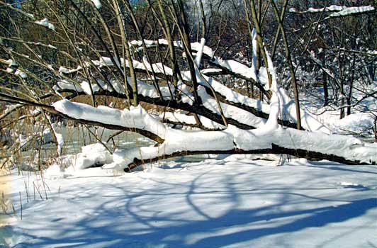  NYC F73-13 Photography art / New York City, Art Galleries, London, Hong Kong, Paris, Rome, Athens, Geneva - Link