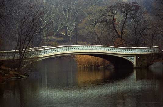 NYC 66-26 Photography art / Central Park, Art Galleries, London, Hong Kong, Paris, Rome, Athens, Geneva - Link